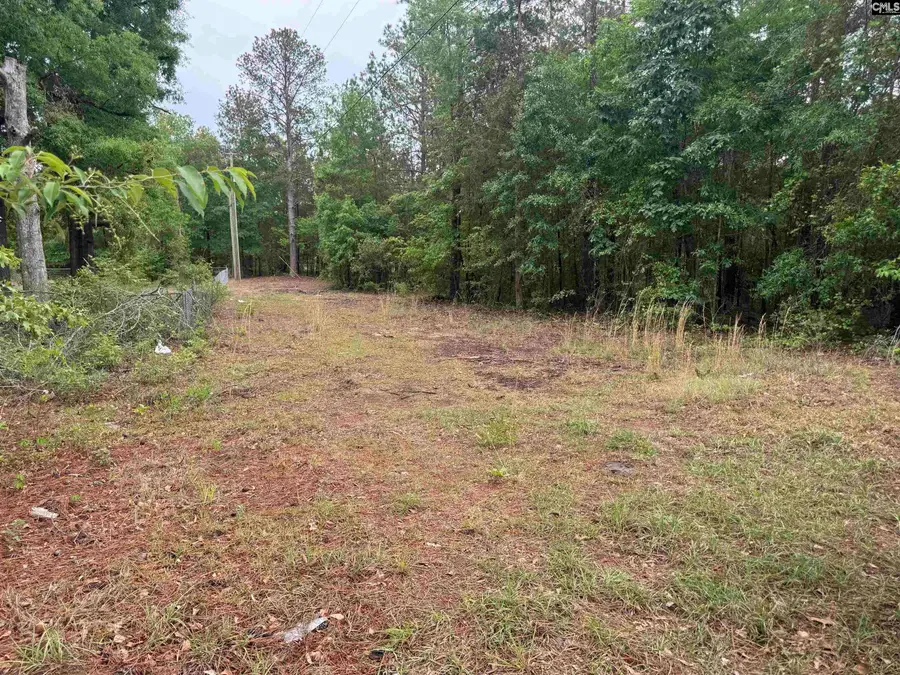 500 Bowman Avenue, Elgin, SC 29045 - #2