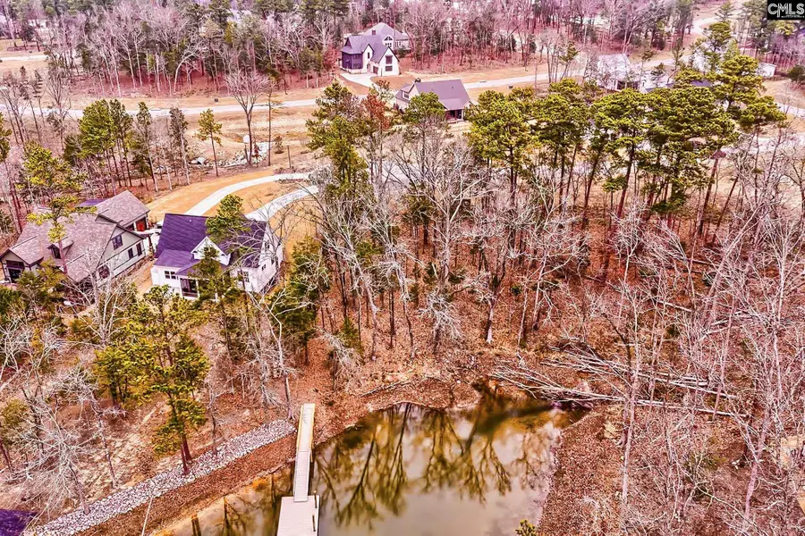 925 Salisbury Court, Chapin, SC 29036 - #2