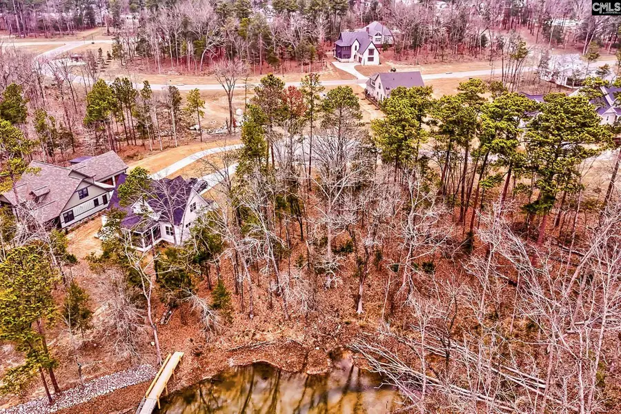 925 Salisbury Court, Chapin, SC 29036 - #3