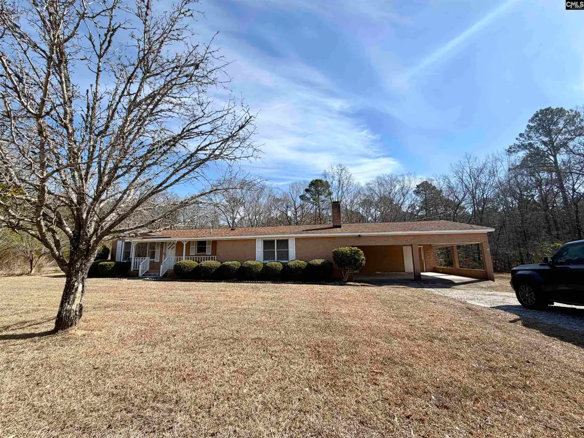 301-A Amicks Ferry Road, Chapin, SC 29036 - #1