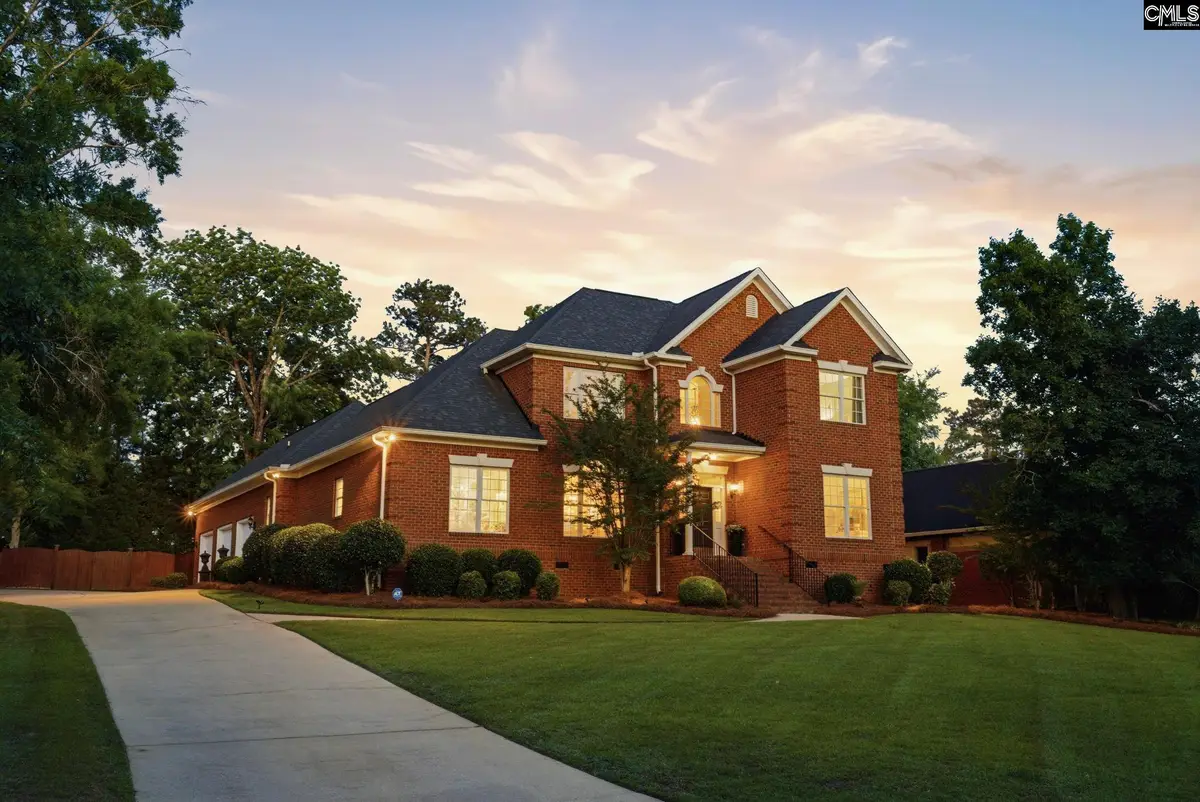 217 Forty Love Point, Chapin, SC 29036 - #1