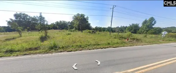 1304 Amicks Ferry Road, Chapin, SC 29036