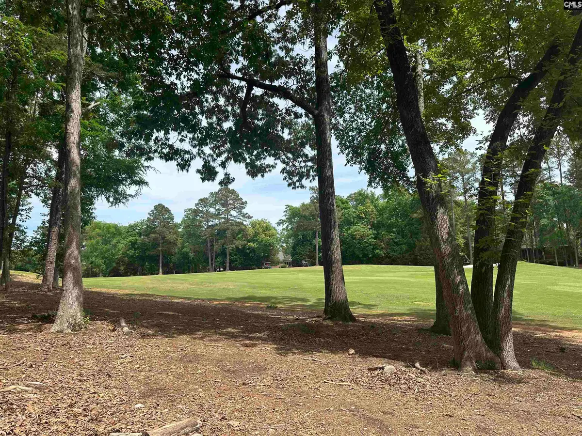537 Misty Banks Drive, Chapin, SC 29036 - #1
