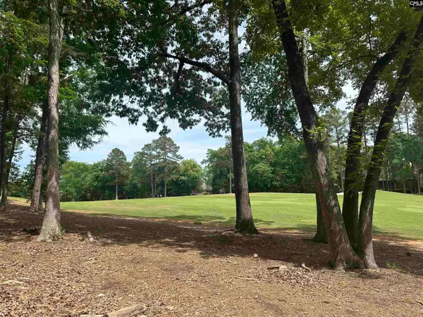 537 Misty Banks Drive, Chapin, SC 29036