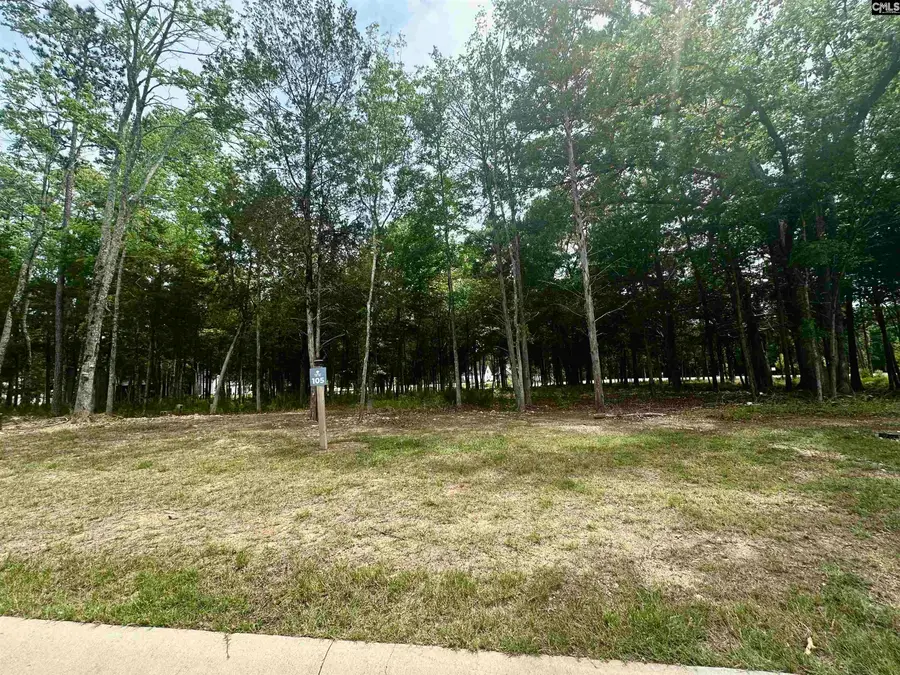 823 Elms Spinney Lane, Chapin, SC 29036 - #2