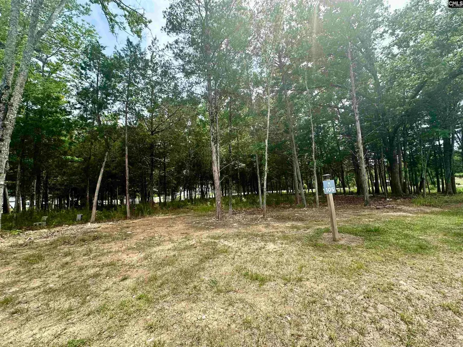 823 Elms Spinney Lane, Chapin, SC 29036 - #3