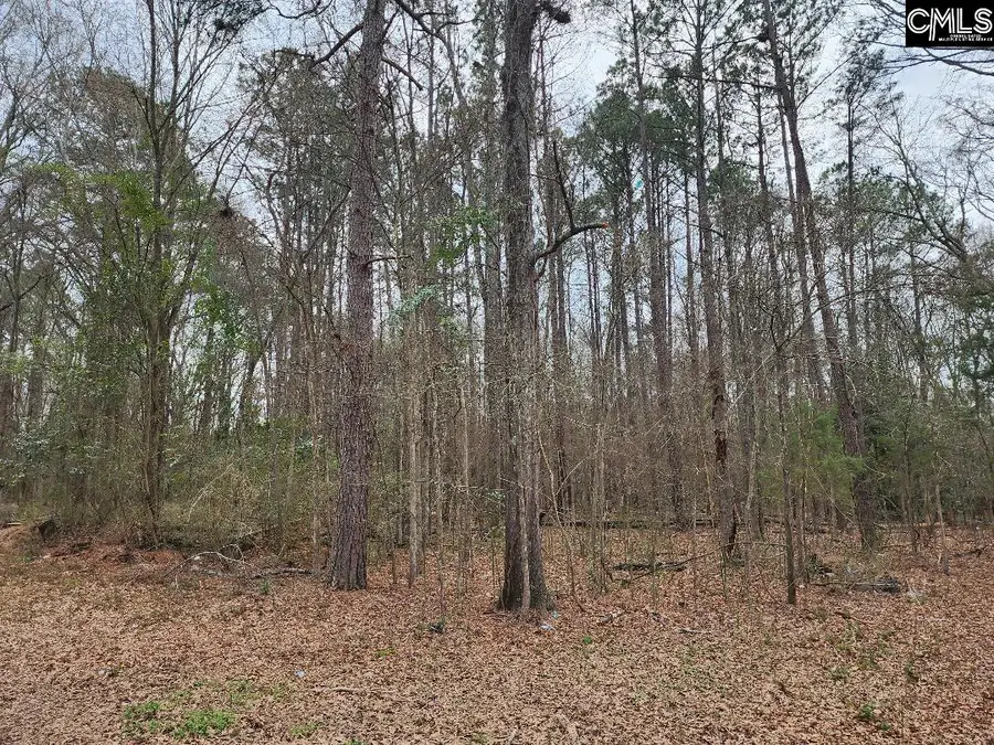 W on Giff Street, Newberry, SC 29108 - #2