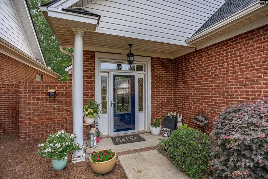 219 Alisia Way, Columbia, SC 29212 - #2