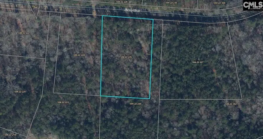 Lot 225 Granny Hill Road, Prosperity, SC 29127 - #3