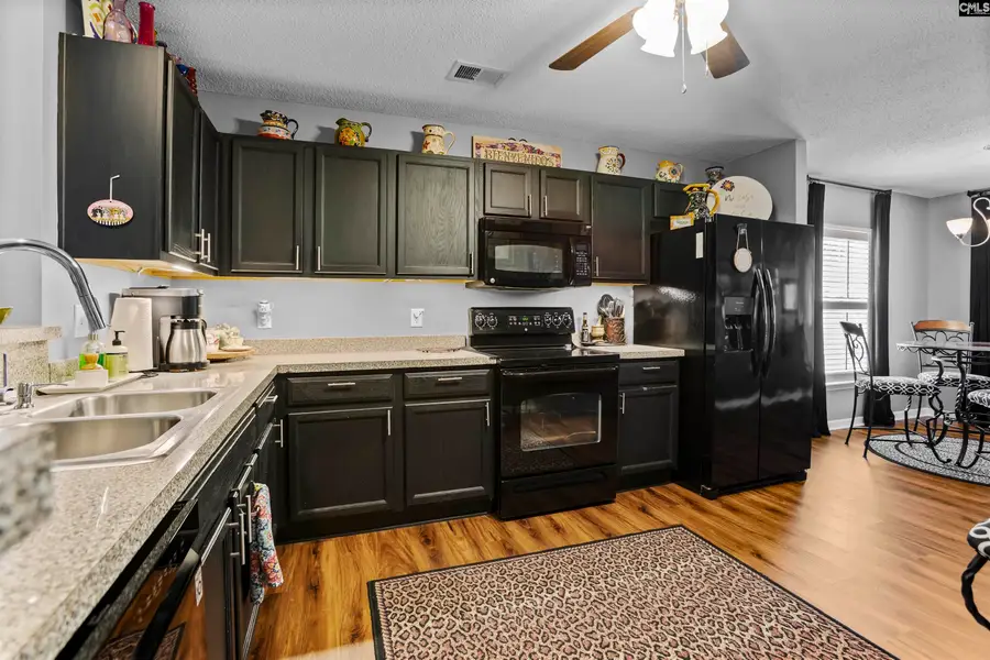 244 Richmond Farm Circle, Lexington, SC 29072 - #2