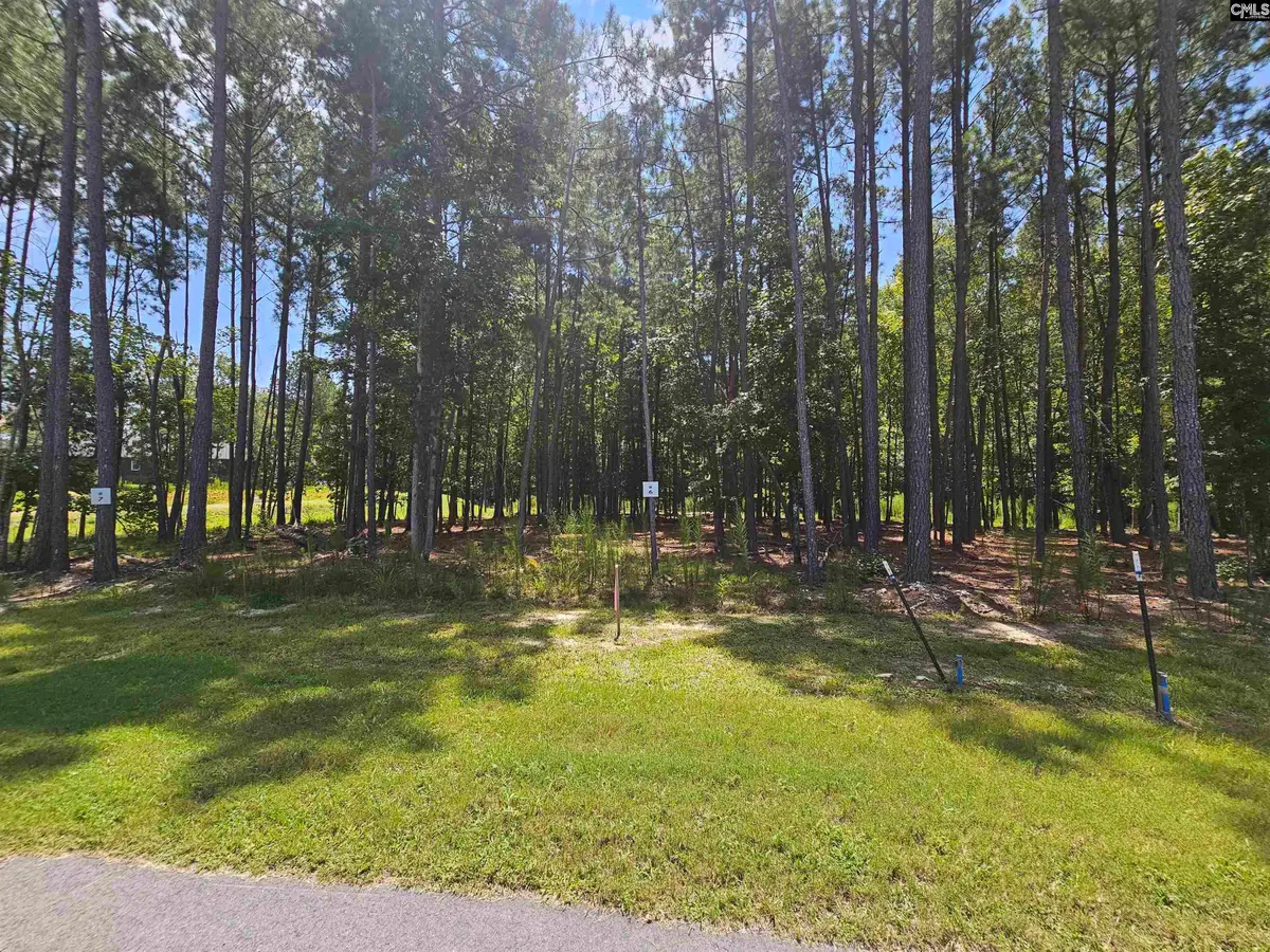 Lot 6 Stewart Landing Drive #6, Prosperity, SC 29127 - #1