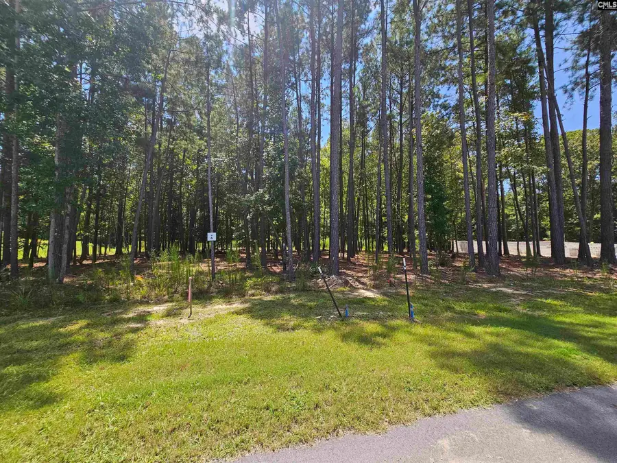 Lot 6 Stewart Landing Drive #6, Prosperity, SC 29127 - #2