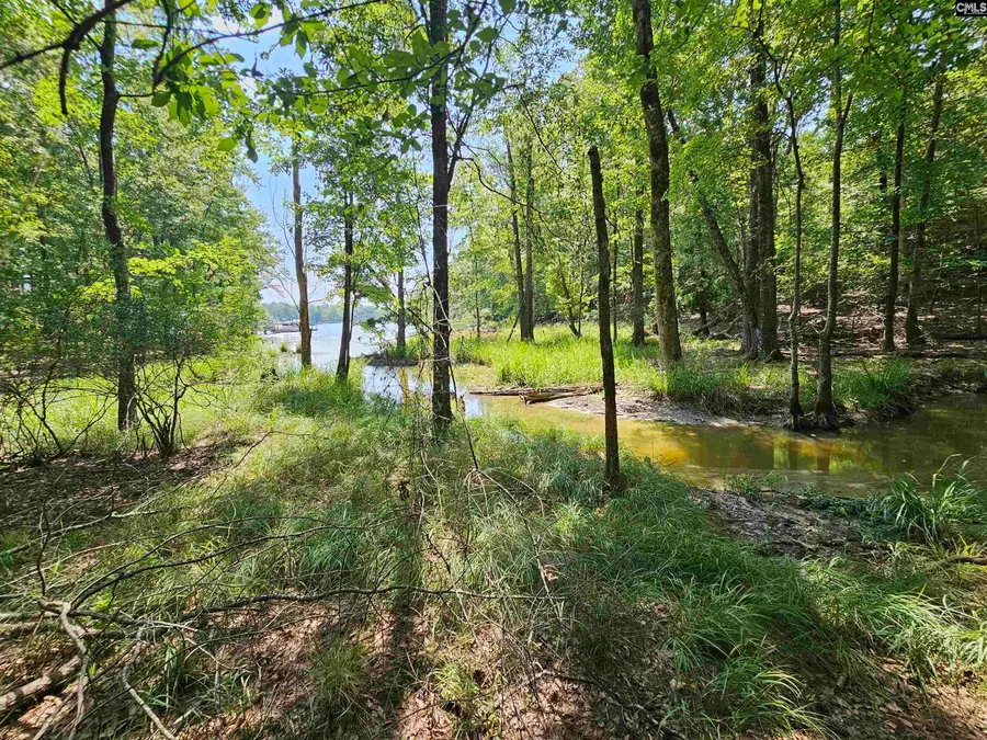 Lot 6 Stewart Landing Drive #6, Prosperity, SC 29127 - #3