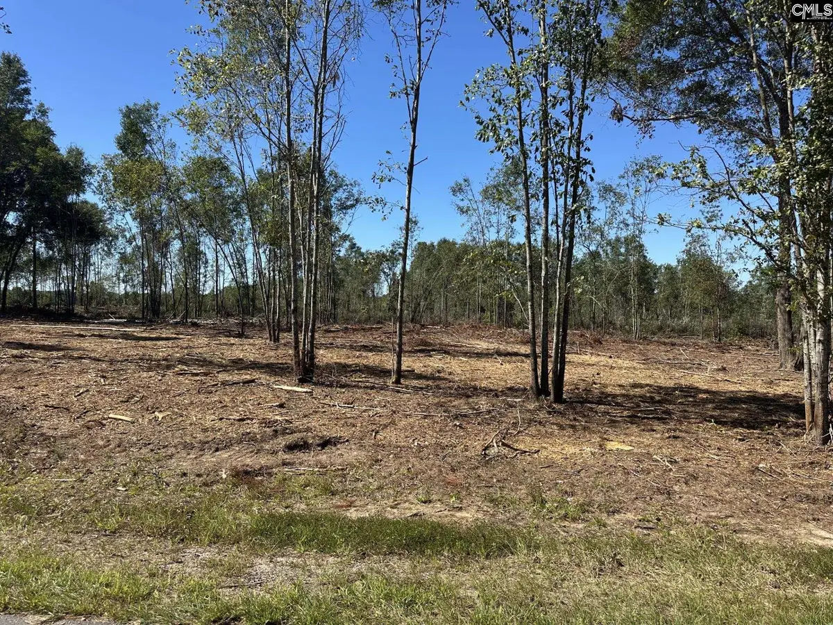 00 Sc Hwy 773 Highway, Pomaria, SC 29126 - #1