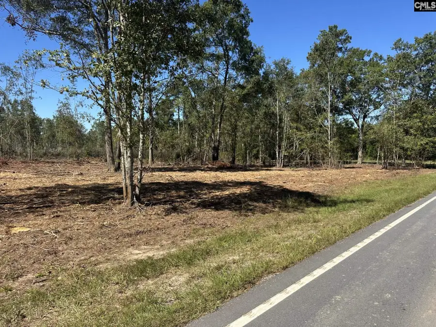 00 Sc Hwy 773 Highway, Pomaria, SC 29126 - #3