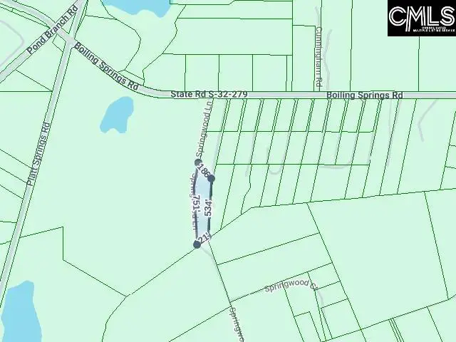 576 A Boiling Springs Road, Lexington, SC 29073 - #1