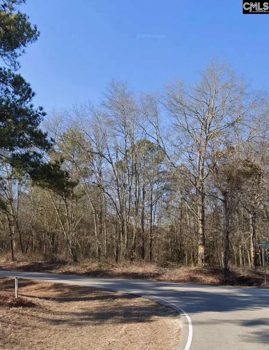 151 Shelton Road, West Columbia, SC 29170 - #3