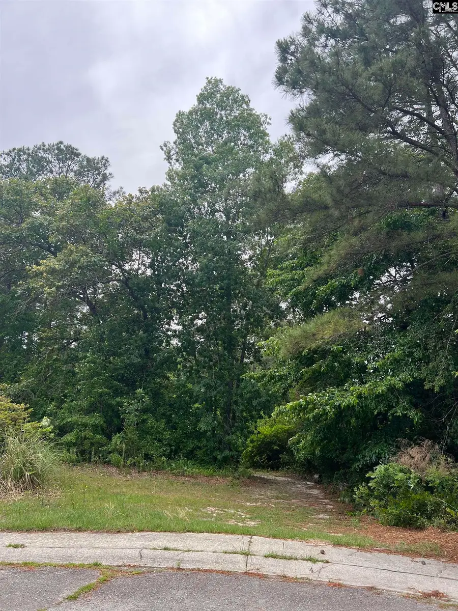 530 Oxford Court, Lexington, SC 29072 - #2