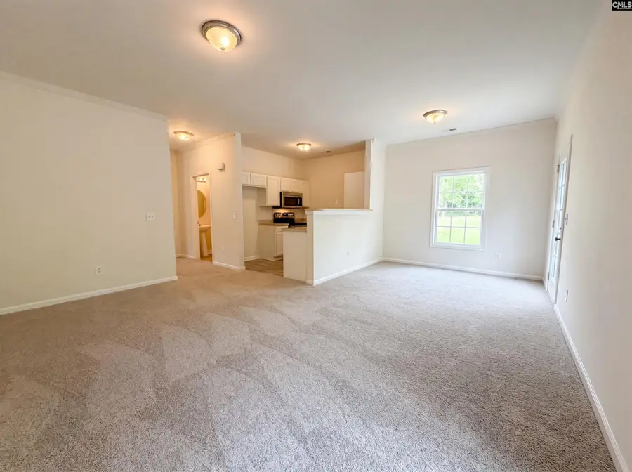 149 Angel Garden Way, Columbia, SC 29223 - #3