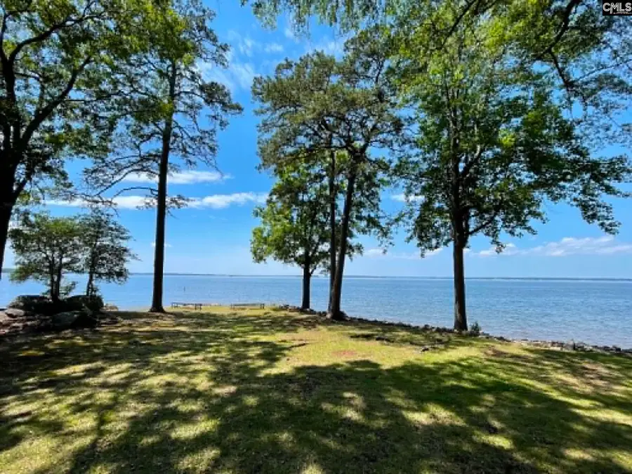 1441 Old Chapin Road #231, Lexington, SC 29072 - #2