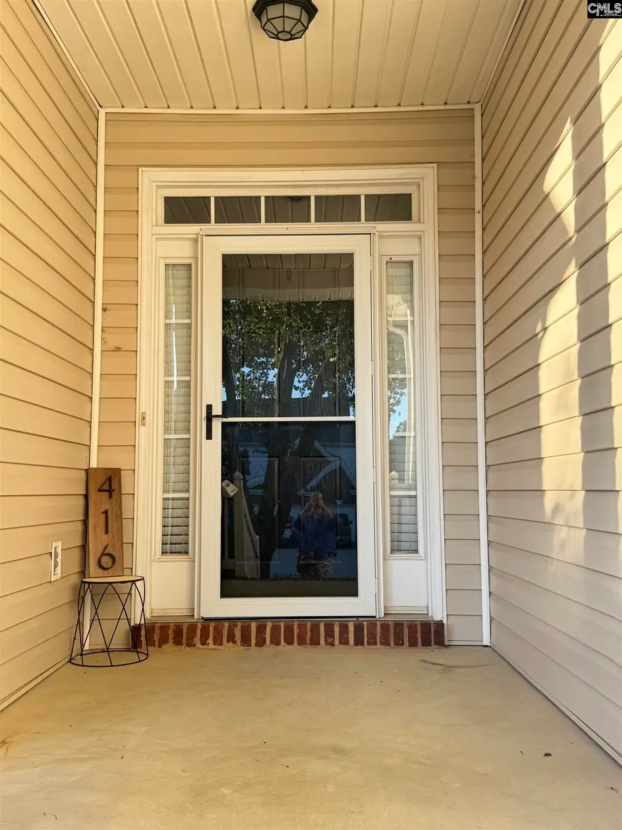 416 Buckthorne Drive, Lexington, SC 29072 - #3