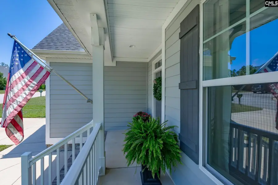 163 Highgate Lane, Chapin, SC 29036 - #2