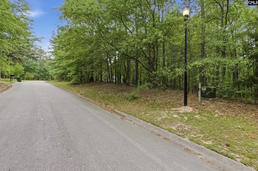 201 Ashley Oaks Drive, Blythewood, SC 29016 - #3