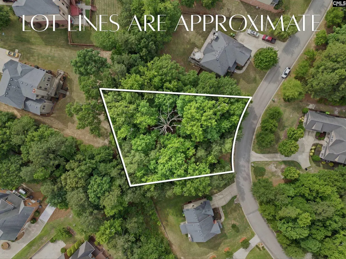612 Winding Hickory Court, Blythewood, SC 29016 - #1