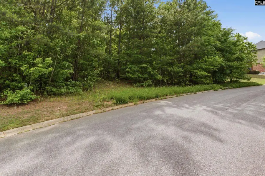 612 Winding Hickory Court, Blythewood, SC 29016 - #3