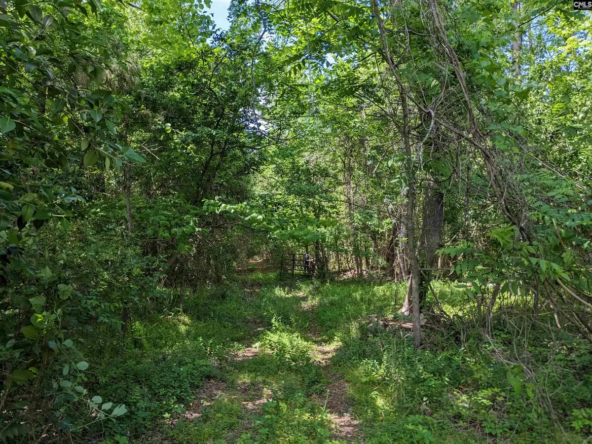 Jewel Drive, Winnsboro, SC 29180 - #1