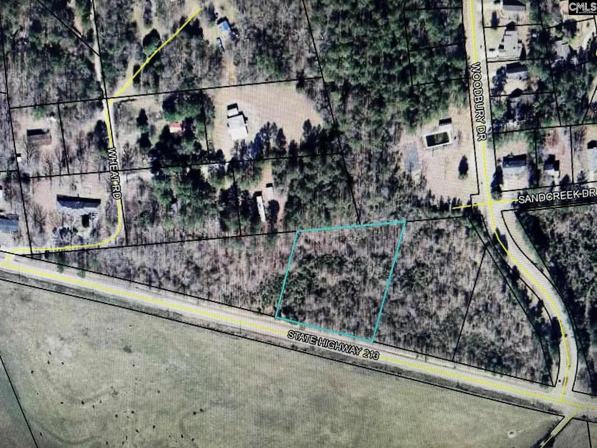 928 State Hwy 213, Winnsboro, SC 29180 - #1