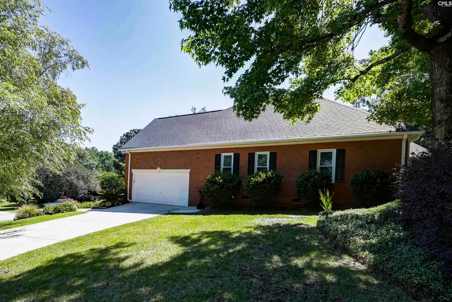 100 Toula Lane, Lexington, SC 29072 - #2