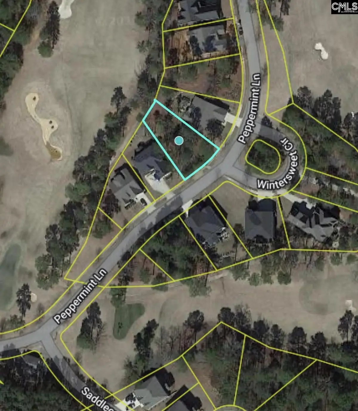 129 Peppermint Lane, Blythewood, SC 29016 - #1