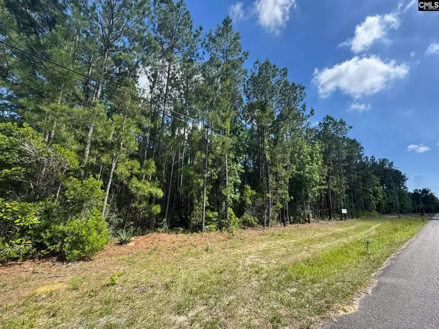 679 Deer Run Avenue, Georgetown, SC 29440 - #2