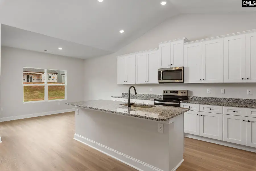 2121 Duck Lettuce Court, Gilbert, SC 29054 - #3