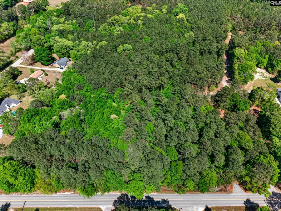 219 Juniper Springs Road #PARCEL A &B, Gilbert, SC 29054 - #3