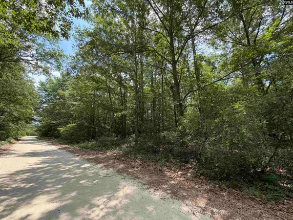 143 Seleta Circle, Lexington, SC 29073