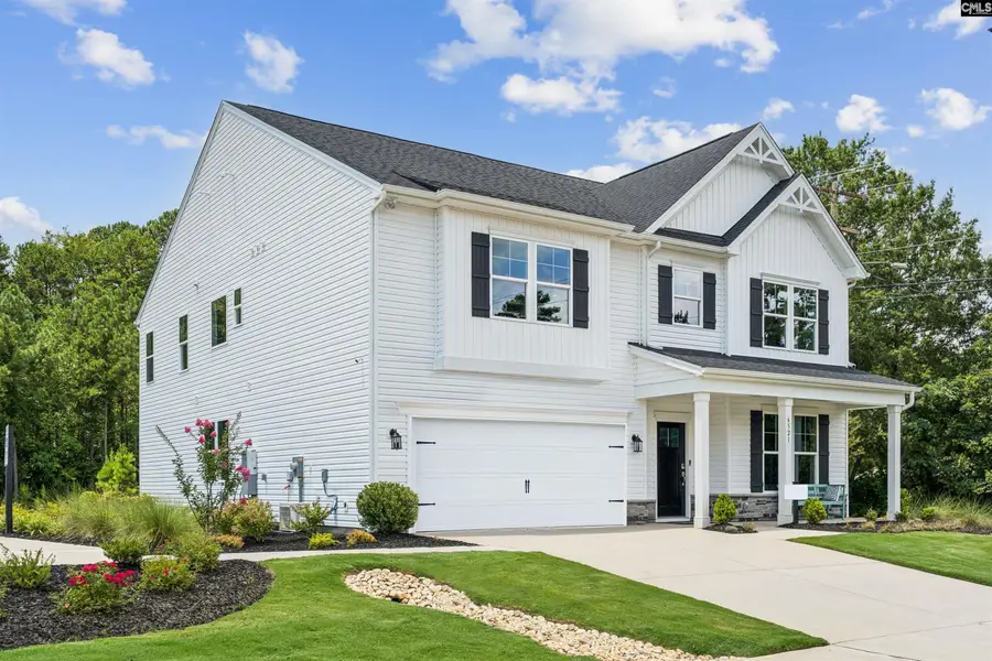 724 Feldspar Court, Chapin, SC 29036 - #2