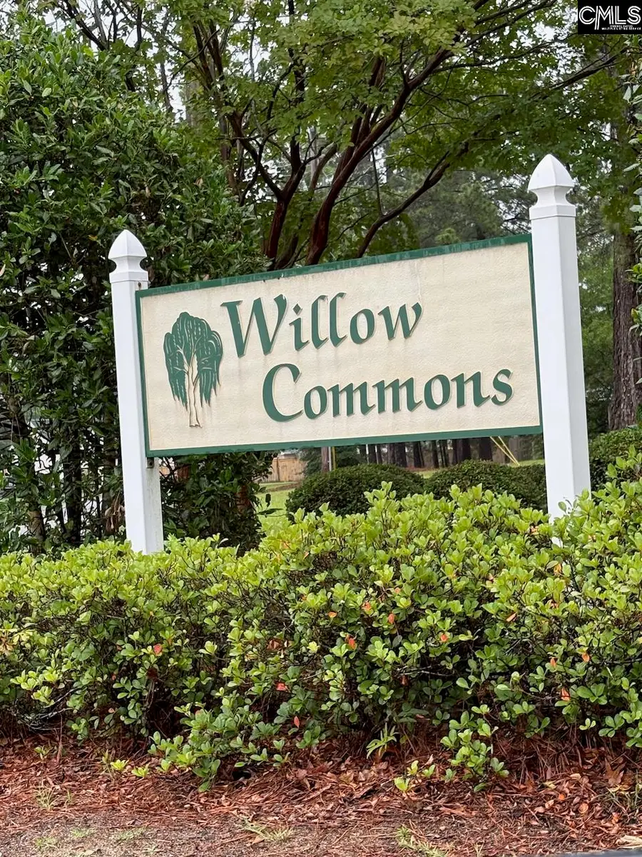 123 Weeping Willow Circle, Blythewood, SC 29016 - #3