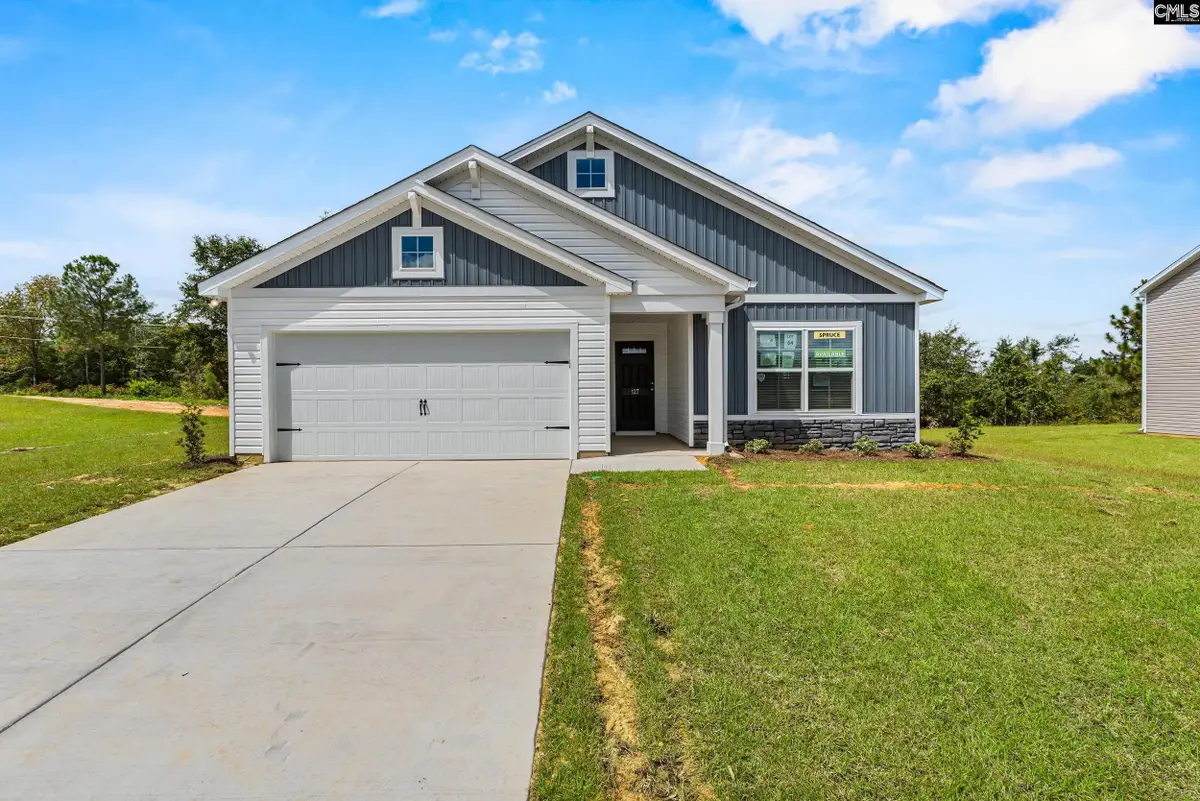 172 Calm Citadel Drive, Pelion, SC 29123 - #1