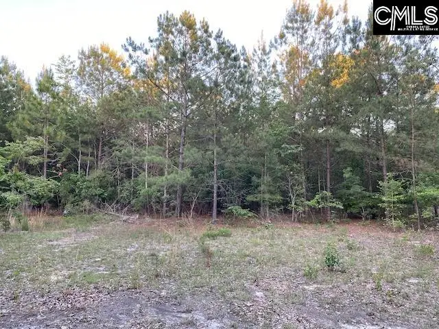 1155 Jones Wire Road, Swansea, SC 29160 - #2