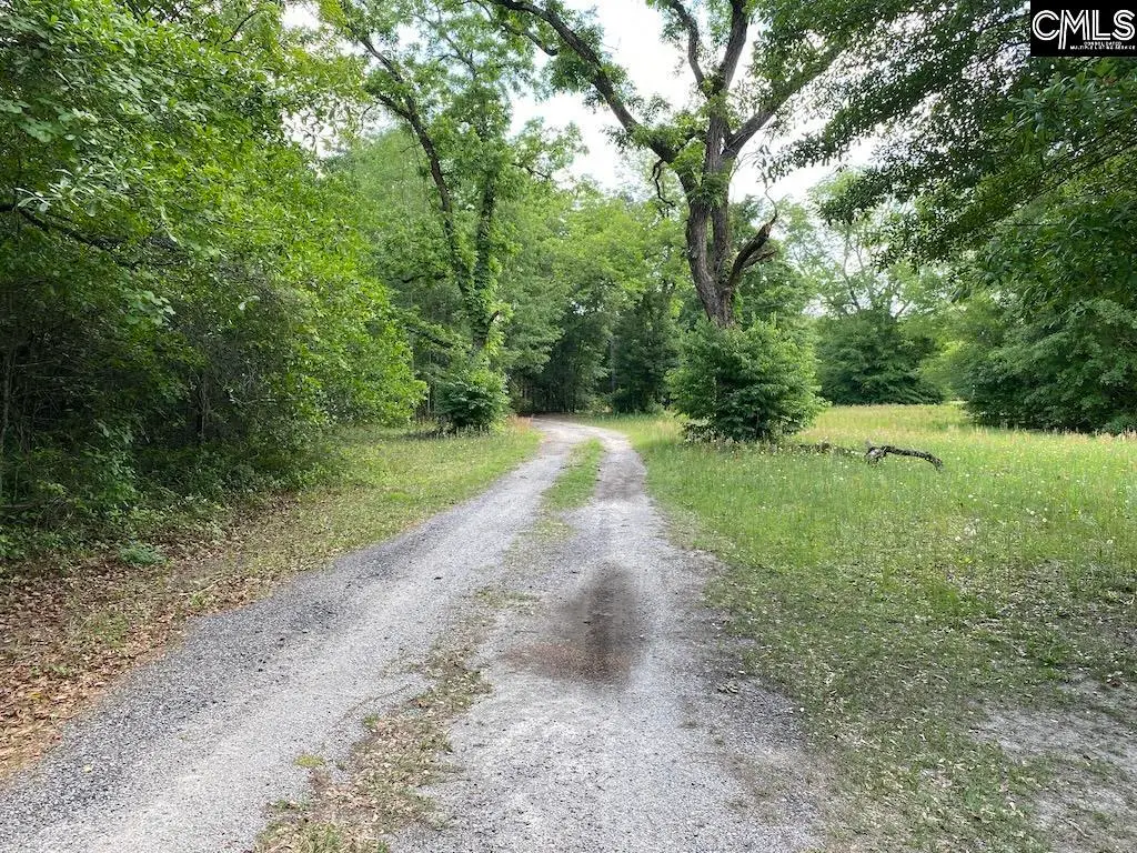 973 Clay Hill Road, Pelion, SC 29123 - #1
