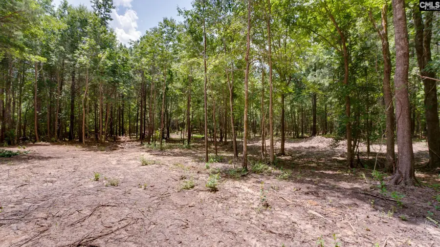 618 Meadowlark Road, Little Mountain, SC 29075 - #3