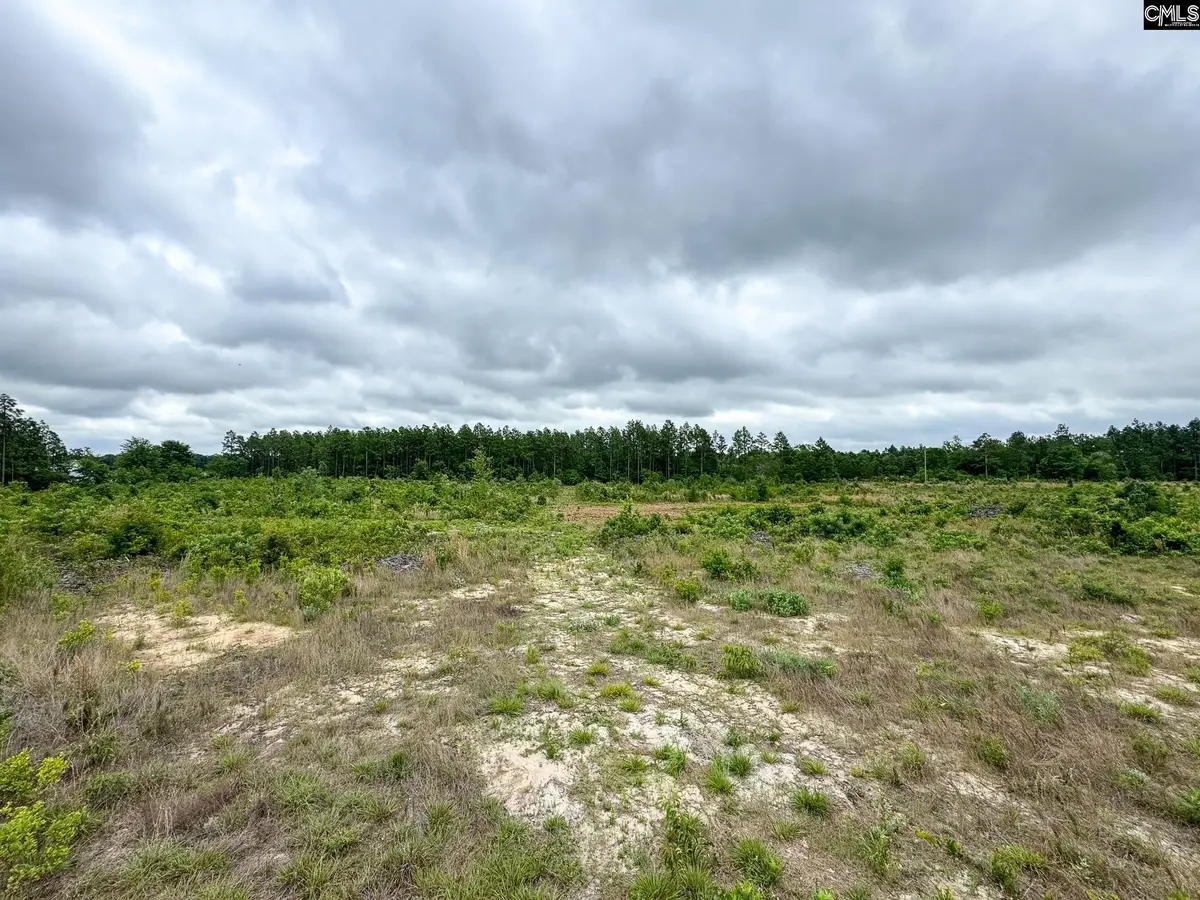 0 Neely Wingard Road #Lot 1, Gilbert, SC 29054 - #1