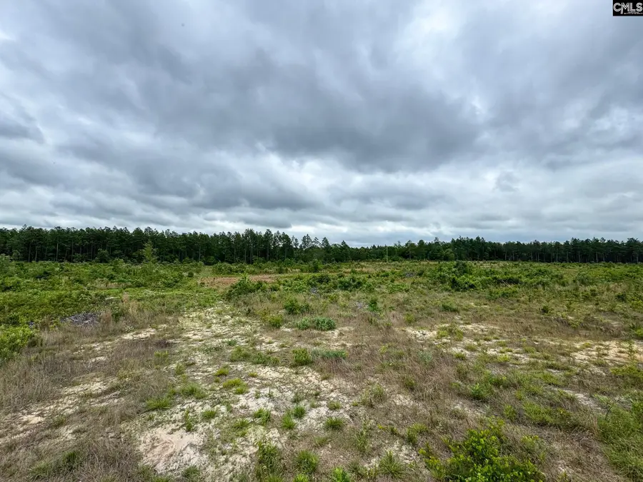 0 Neely Wingard Road #Lot 1, Gilbert, SC 29054 - #3