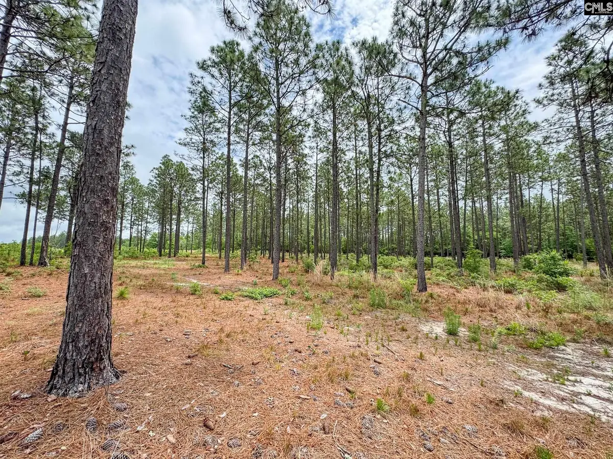 0 Neely Wingard Road #Lot 2, Gilbert, SC 29054 - #1