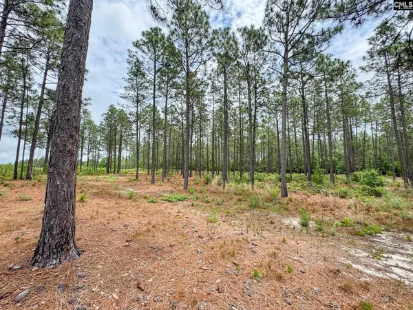 0 Neely Wingard Road #Lot 2, Gilbert, SC 29054