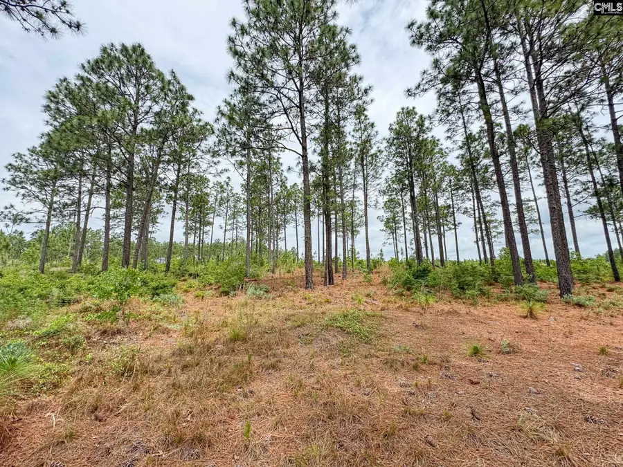 0 Neely Wingard Road #Lot 2, Gilbert, SC 29054 - #3