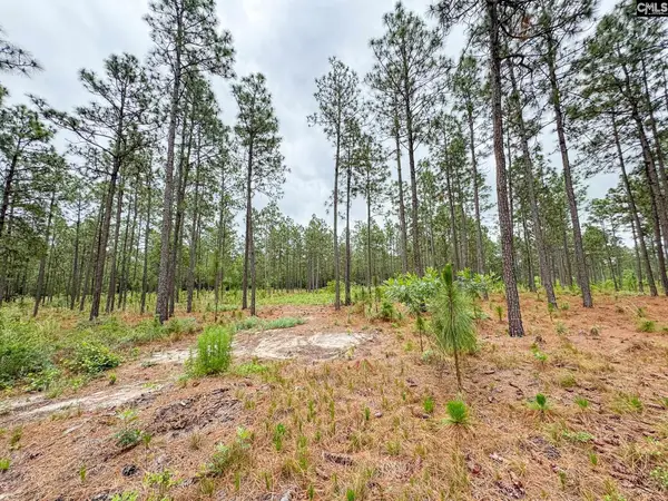 0 Neely Wingard Road #Lot 3, Gilbert, SC 29054
