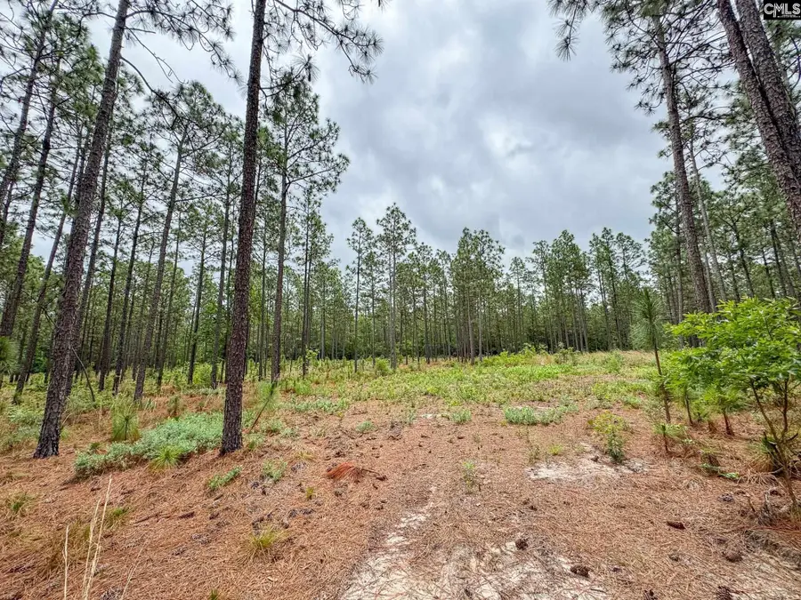 0 Neely Wingard Road #Lot 3, Gilbert, SC 29054 - #3